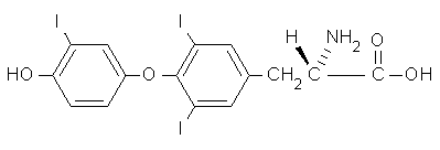 T3.gif (1216 Byte)